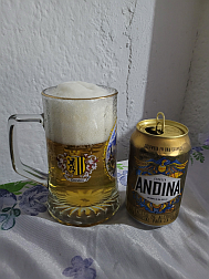 Andina